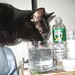Travis Waters Photo 11