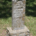 Elizabeth Vanzandt Photo 13