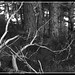 Heather Black Photo 21