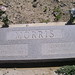 Martha Morris Photo 18