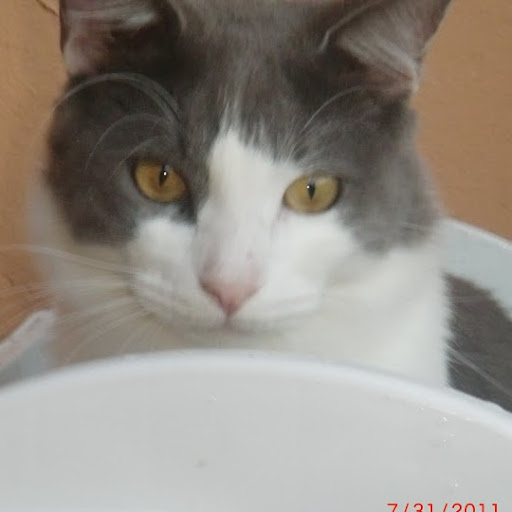 Rosa Ocasio Photo 13