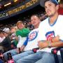 David Volk Photo 15