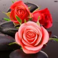 Eveline Rose Photo 10
