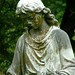 Mary Strickland Photo 42