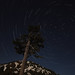 Heather Herman Photo 33