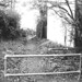 Laurie Collins Photo 27