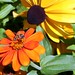 Susan Leach Photo 22