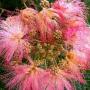 Linda Holmes Photo 45