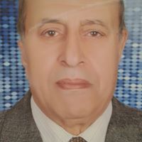 Ahmed Elnaggar Photo 7