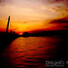 Deniz Yener Photo 8