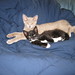Doris Marshall Photo 24