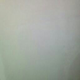 Robert Backus Photo 30