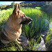 Heidi Long Photo 12