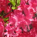 Jane Abbott Photo 27