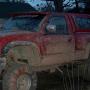 Steve Moss Photo 20