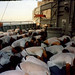 Allan Gore Photo 9