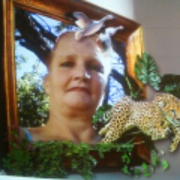 Diana Farrell Photo 18