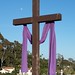 Barbara Cross Photo 42