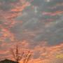 Debra Boyce Photo 12