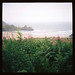 Diana Gower Photo 10