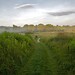 Gary Meadows Photo 35