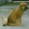 Ginger West Photo 38