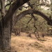 Garry Mitchell Photo 36