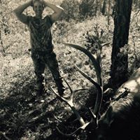 Stephen Shaver Photo 17