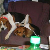 John Burks Photo 23