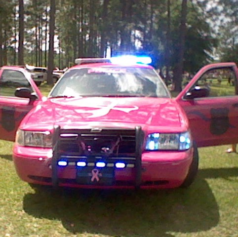 Casey Nicholson Photo 22
