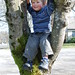 Evan Tree Photo 7