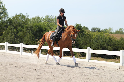 Megan Cook Photo 3