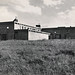 Mary Kidd Photo 32