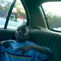 Antonio Cook Photo 27