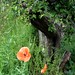 Peter Baughan Photo 15