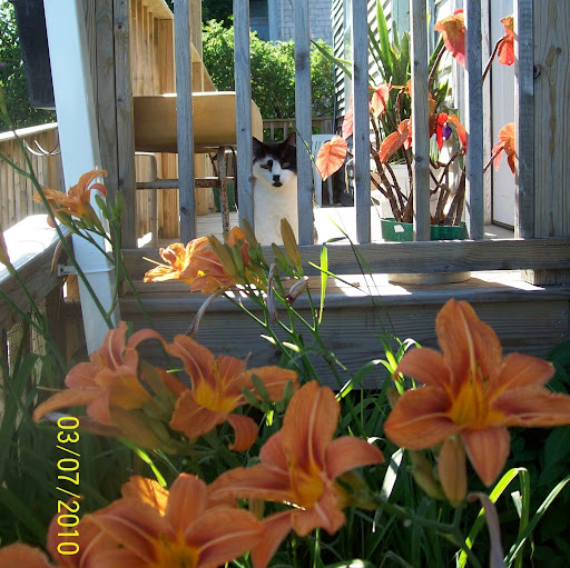 Kathryn Lewis Photo 35