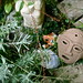 Michael Gregory Photo 30