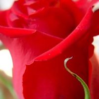 Karen Clayton Photo 43