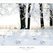 Crystal Bourque Photo 13