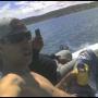 Felix Torres Photo 25