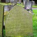 Ann Shaw Photo 24