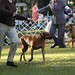 Bonita Snodgrass Photo 8