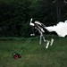 Thomas Mowers Photo 3