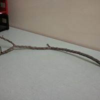 Robert Guenther Photo 30