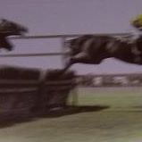Robert Wilkinson Photo 15