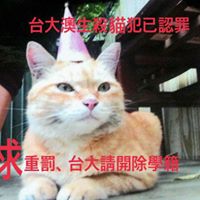 Annie Chu Photo 31
