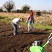 Theresa Plant Photo 10