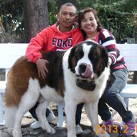Susan Sandoval Photo 21