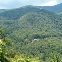 Mary Paschall Photo 24