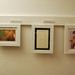 Lisa Whittaker Photo 43